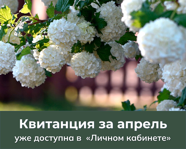 В «Личном кабинете» доступна квитанция для опла-ты газа, потребленного в апреле